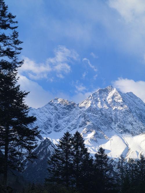 蜘蛛池和泛站群区别