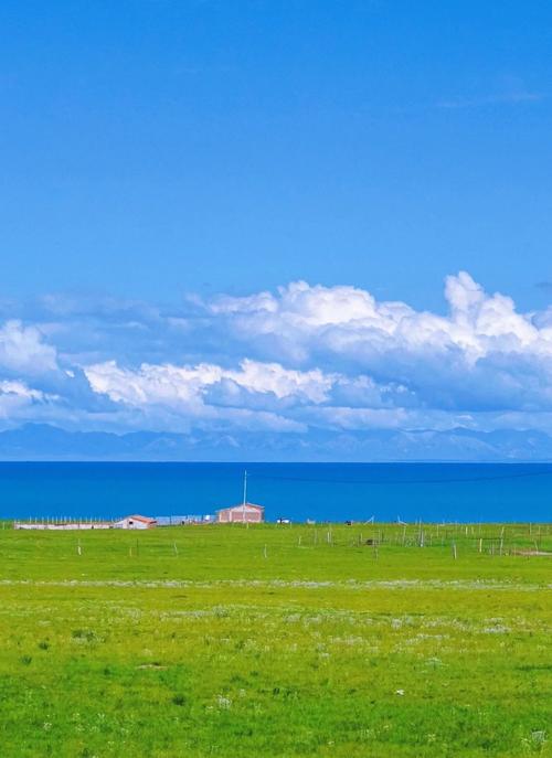 站群网站推广工具报价